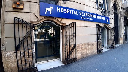 Veterinario Hospital Veterinari Balmes