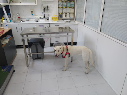Hospital Veterinari Martorell 1 Veterinario Hospital Veterinari Martorell