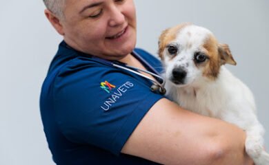 Veterinario Hospital Veterinario Ciudad de Lugo