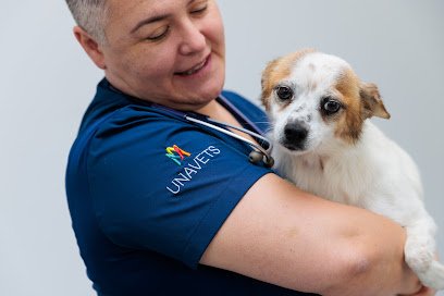 Veterinario Hospital Veterinario Ciudad de Lugo