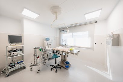 Veterinario Hospital Veterinario Ciutat d´Inca