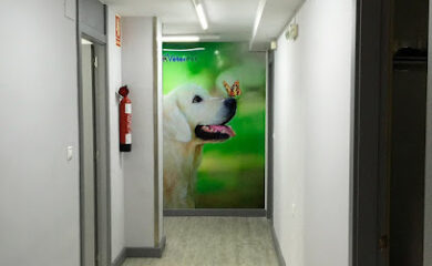 Veterinario Hospital Veterinario Guardamar 24h Veterpet