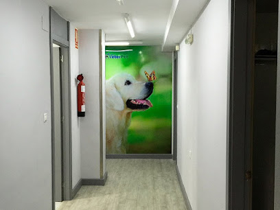 Hospital Veterinario Guardamar 24h Veterpet 1 Veterinario Hospital Veterinario Guardamar 24h Veterpet