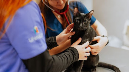 Hospital Veterinario Tartanga UNAVETS - Erandio 1 Veterinario Hospital Veterinario Tartanga UNAVETS - Erandio