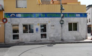 Veterinarios en Torremolinos 5 Veterinario Hospital clínico veterinario de día Dr. Moya