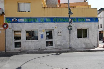 Hospital clínico veterinario de día Dr. Moya 1 Veterinario Hospital clínico veterinario de día Dr. Moya