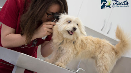 LA PLACITA Centro Veterinario 1 Veterinario LA PLACITA Centro Veterinario