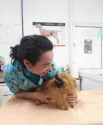 Veterinario LaVida Vet. Consulta Veterinaria Especialista en Pequeños Animales y Exóticos