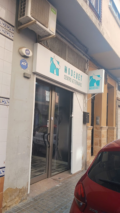 MODEVET CENTRO VETERINARIO 1 Veterinario MODEVET CENTRO VETERINARIO