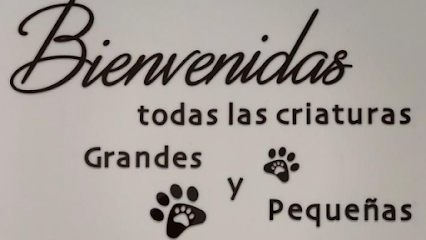 Veterinario Malasaña Clínica Veterinaria - ChuecaVet