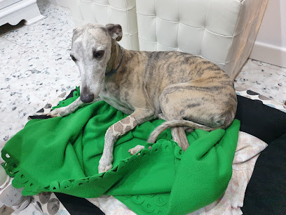 María Luz Balsera Paredes 1 Veterinario María Luz Balsera Paredes