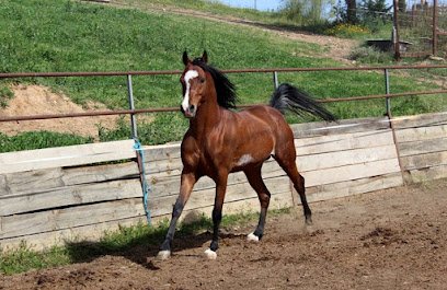 Veterinario Marta Becerro Servicios Veterinarios