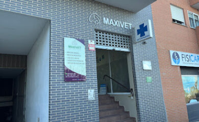 Veterinario Maxivet Veterinaria