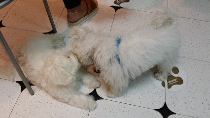 Medivet Sant Andreu 1 Veterinario Medivet Sant Andreu