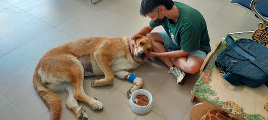 Mobydick Clinica Veterinaria 1 Veterinario Mobydick Clinica Veterinaria