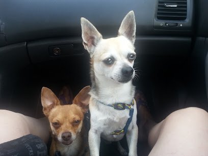 Veterinario Món Veterinari