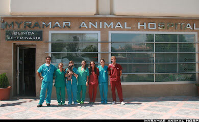 Veterinario Myramar - Veterinarios en Fuengirola