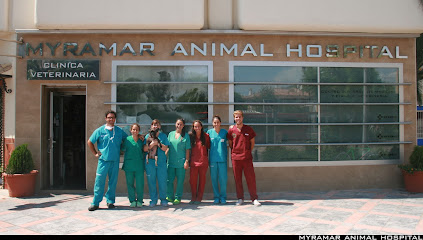 Myramar - Veterinarios en Fuengirola 1 Veterinario Myramar - Veterinarios en Fuengirola