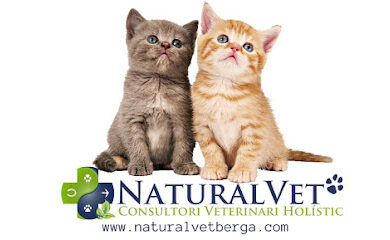 Veterinario NATURALVET Clínica Veterinària