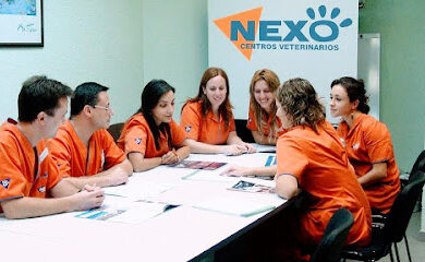 Veterinario Nexo Veterinario Punta