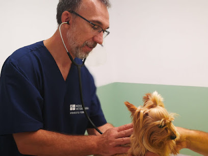 Nova Veterinària 1 Veterinario Nova Veterinària