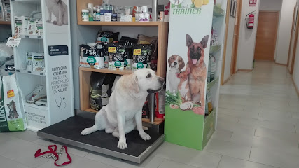 Nuevo Valdepeñas Veterinarios 1 Veterinario Nuevo Valdepeñas Veterinarios