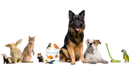 Veterinario PARLAVET Centro Veterinario