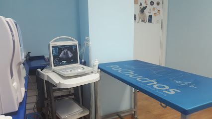 Veterinario PaChuchos clínica veterinaria