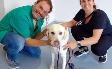 Veterinario PalafruVet · Centre Veterinari a Palafrugell
