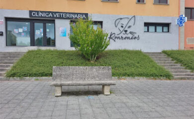 Veterinario Ronroneos Clinica Veterinaria