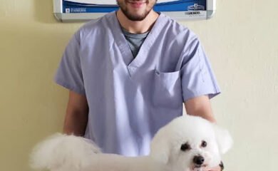 Veterinario Royal Pet H