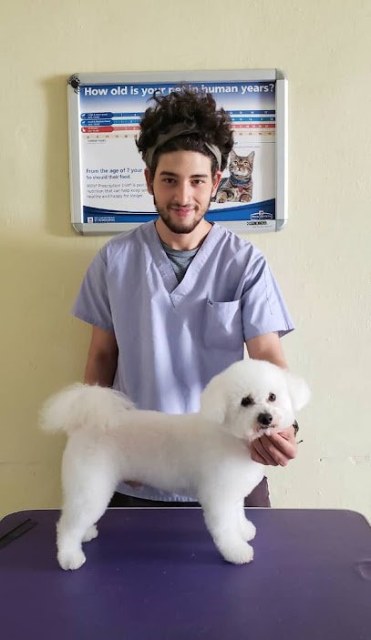 Veterinario Royal Pet H