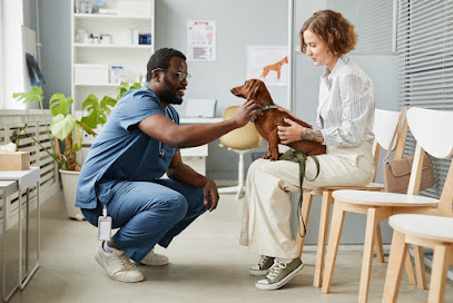 Serveis Veterinaris de Valls 1 Veterinario Serveis Veterinaris de Valls