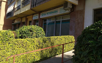 Veterinario Sònia Veterinària