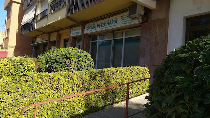 Sònia Veterinària 1 Veterinario Sònia Veterinària