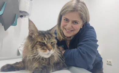 Veterinarios en Espartinas 4 Veterinario TKEL veterinarios a domicilio Sevilla