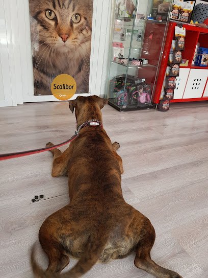 Veterinario TUS VETERINARIOS MARY PAZ Y OSCAR