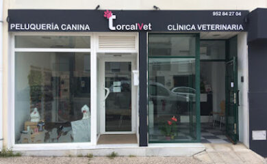 Veterinario Torcalvet clínica veterinaria