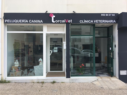 Torcalvet clínica veterinaria 1 Veterinario Torcalvet clínica veterinaria