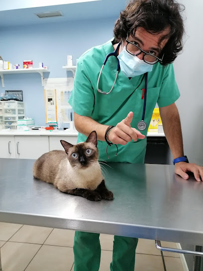Totgos Cerdanyola 1 Veterinario Totgos Cerdanyola