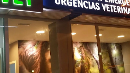 Urvet Marbella Urgencias Veterinarias 1 Veterinario Urvet Marbella Urgencias Veterinarias