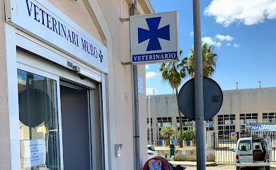 Veterinario VETERINARI MURO