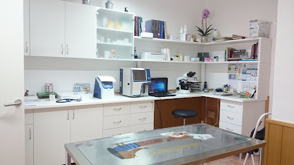 VETERINARIA SAN TELMO 1 Veterinario VETERINARIA SAN TELMO