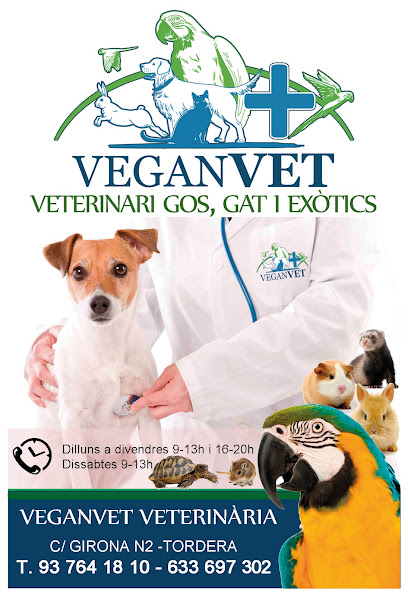 VeganVET veterinària 1 Veterinario VeganVET veterinària