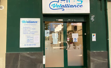 Veterinario Vetalliance Badalona