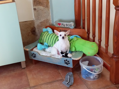 Veterinaria Aguilera Mogán 1 Veterinario Veterinaria Aguilera Mogán