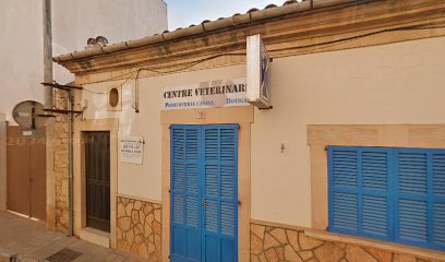 Veterinario 1 Veterinario Veterinario