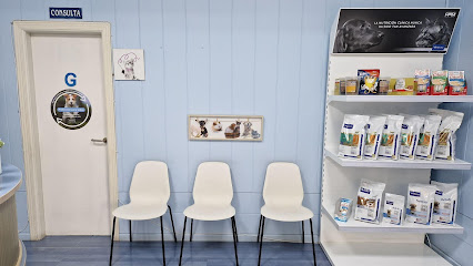 Veterinario Alcorcón 1 Veterinario Veterinario Alcorcón