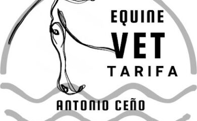 Veterinario Veterinario Equino Tarifa