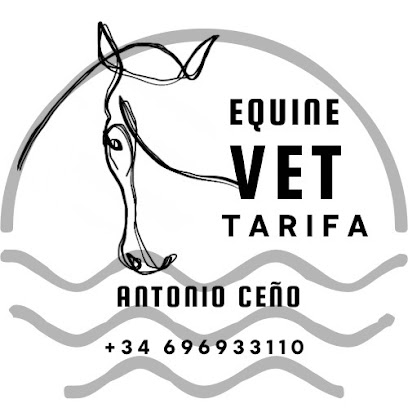 Veterinario Equino Tarifa 1 Veterinario Veterinario Equino Tarifa